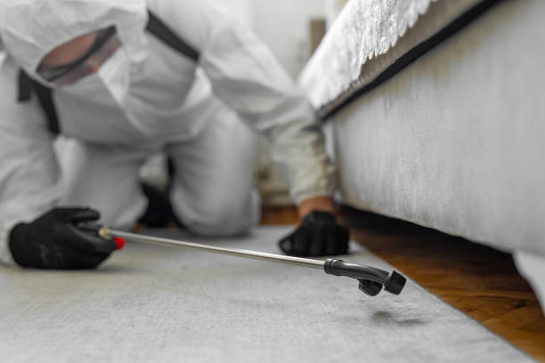 Professional Bed Bug Control technician working in Breckenridge, TX