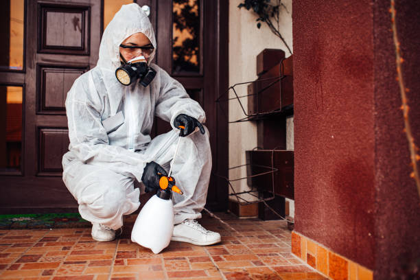 Reliable Bed Bug Control contractor in Breckenridge, TX by Nex Pest Control